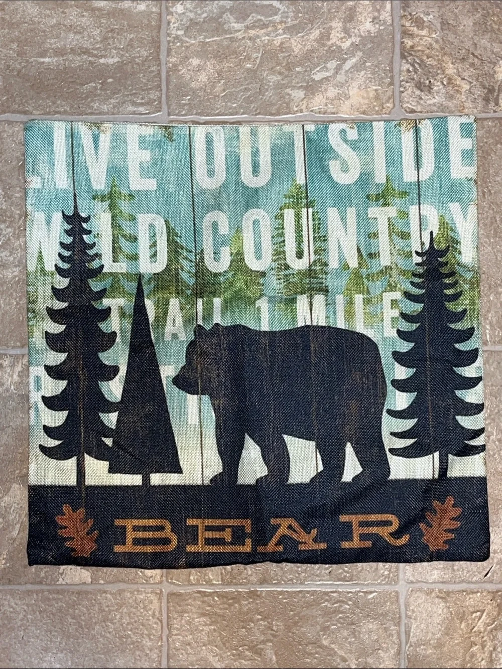 Bear Pillow Cover